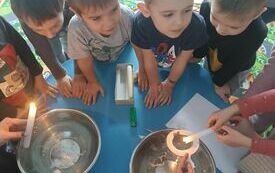 IMG_20231129_100659