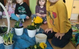 IMG20240320110002