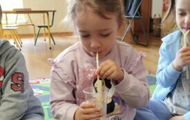 IMG_20240419_095623866