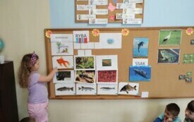IMG_20240419_101909161