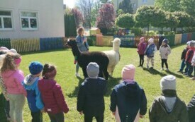 IMG_20240426_105225789
