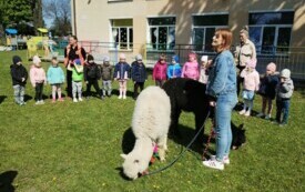 IMG_20240426_105246498