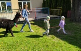 img20240426100415