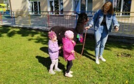 img20240426100320