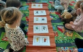 IMG_20241125_131300