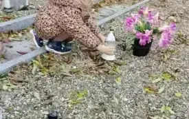 baf4aaa7-7d1f-4a72-81a3-fc82ec626c9a