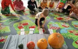 IMG_20251031_094329