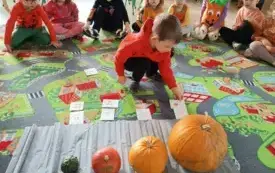 IMG_20251031_094311