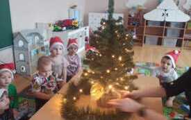 IMG-20251204-WA0282