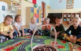 IMG_20231018_100250