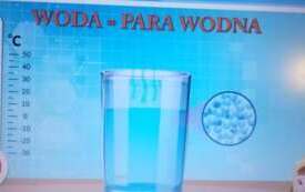 9a8d7034-7cb8-4462-88cc-2733377c03a7