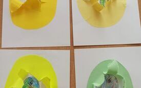 IMG_20260227_102953