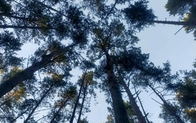IMG_8198-56-01.jpeg