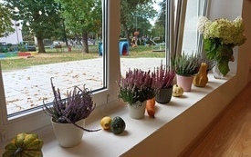 IMG_20260923_115153