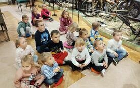 IMG_20231109_102312260