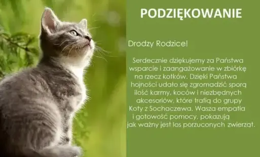Dziękujemy