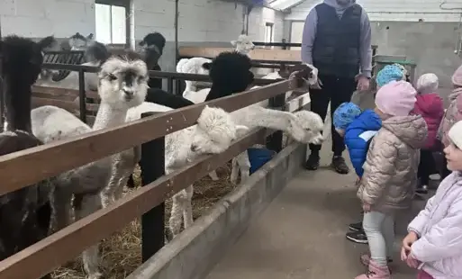 Zdjęcie do Jesienna wycieczka Malinek do Zagrody w Zakrzewie